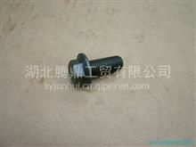 东风天龙雷诺发动机高压共轨油轨限压阀（1110010028）详解 价格、图片与配件厂家指南